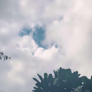 精品亚洲成a人在线观看青青
